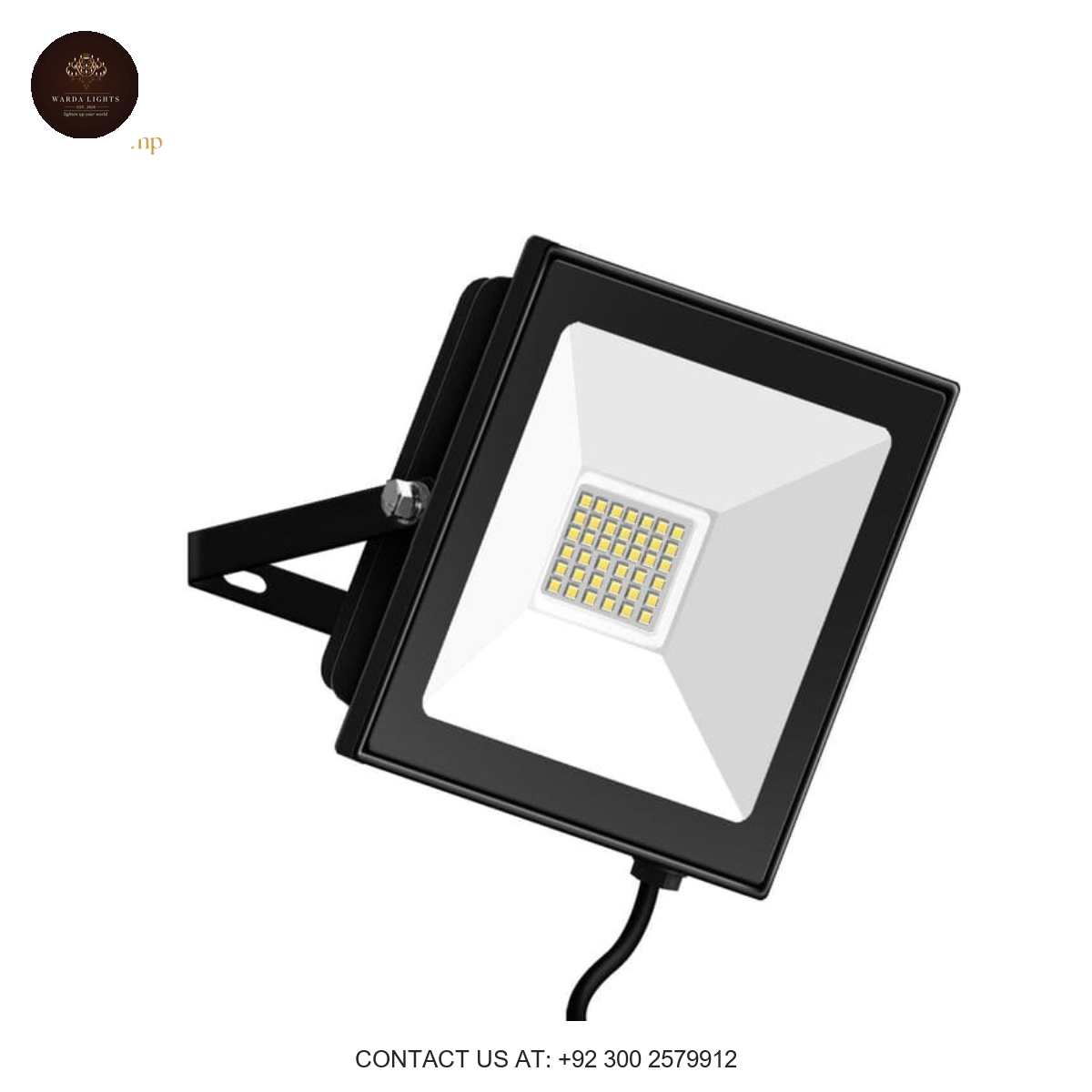 30w FLOOD LIGHT