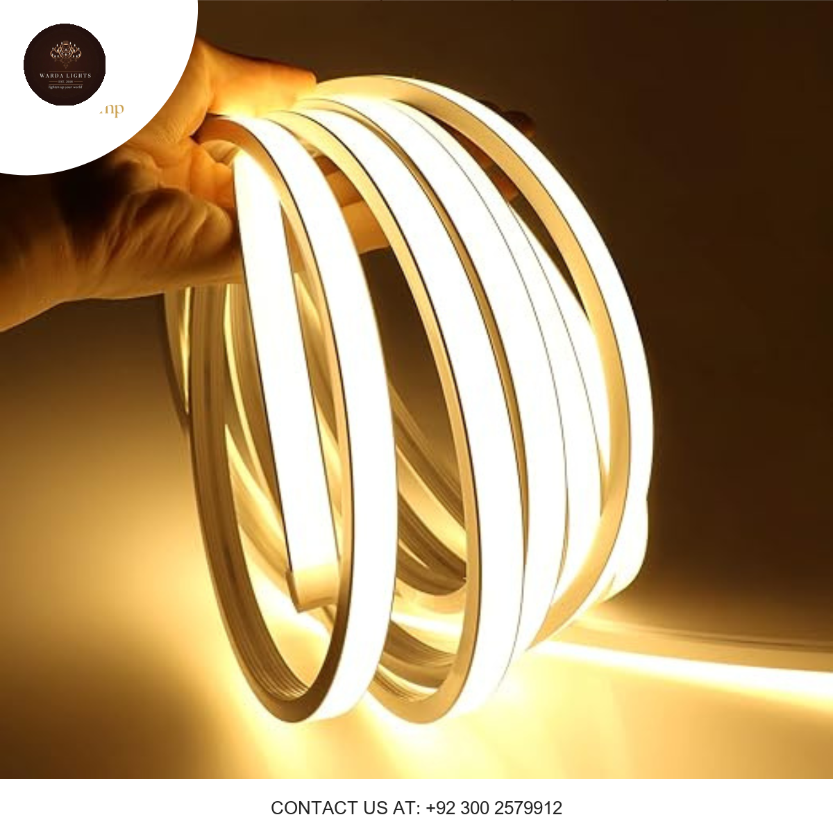 LED NEON COB LIGHT